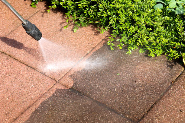 Best Roof Pressure Washing  in Pike Road, AL
